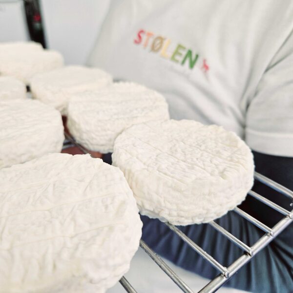 chevre type piccodon